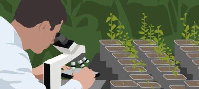 Fitó-ISF-16x9|IMG_6273|Fitó-440x440-3